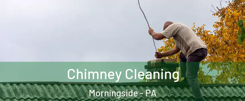Chimney Cleaning Morningside - PA