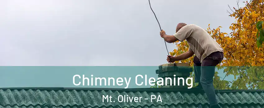 Chimney Cleaning Mt. Oliver - PA