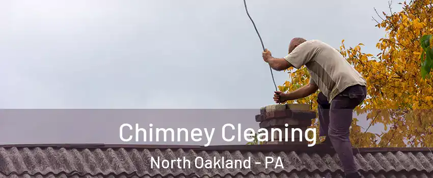 Chimney Cleaning North Oakland - PA