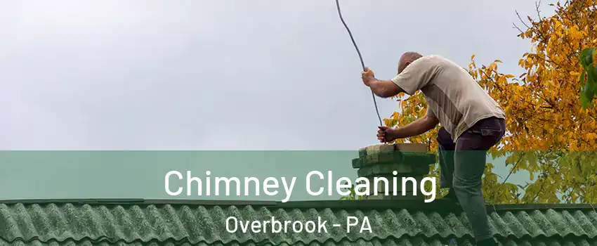Chimney Cleaning Overbrook - PA