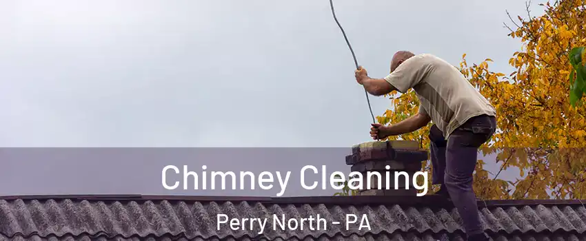 Chimney Cleaning Perry North - PA
