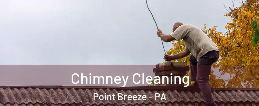 Chimney Cleaning Point Breeze - PA