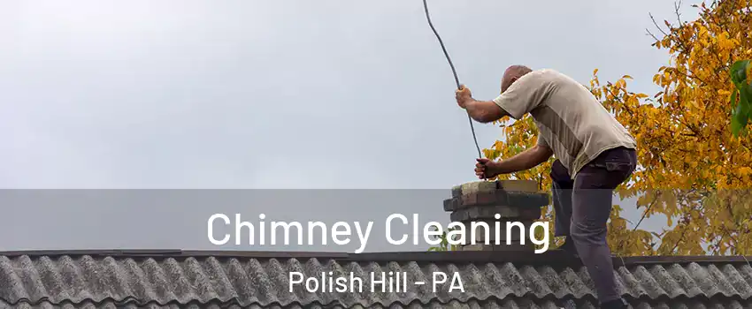 Chimney Cleaning Polish Hill - PA