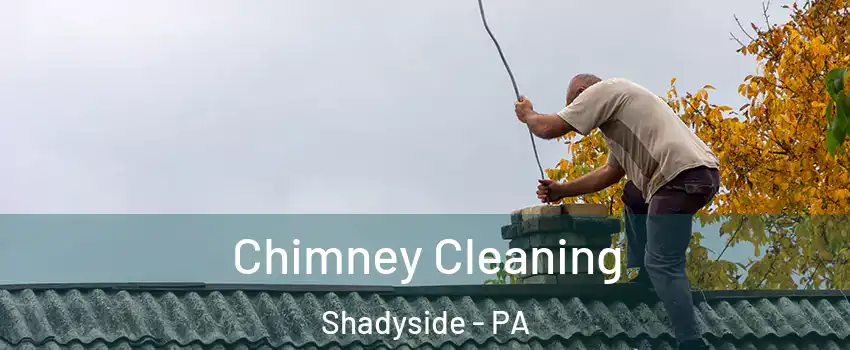 Chimney Cleaning Shadyside - PA