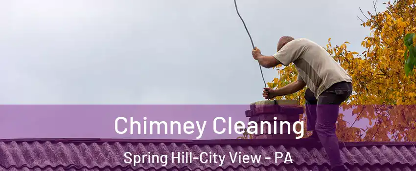 Chimney Cleaning Spring Hill-City View - PA