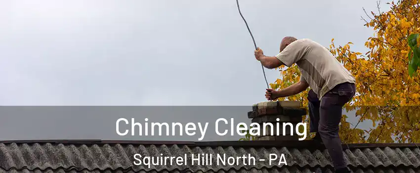 Chimney Cleaning Squirrel Hill North - PA