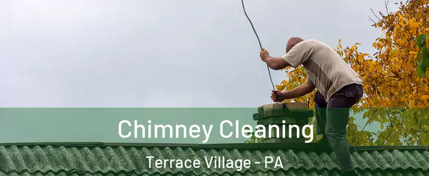 Chimney Cleaning Terrace Village - PA