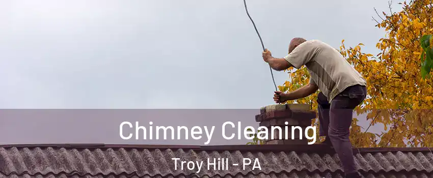Chimney Cleaning Troy Hill - PA