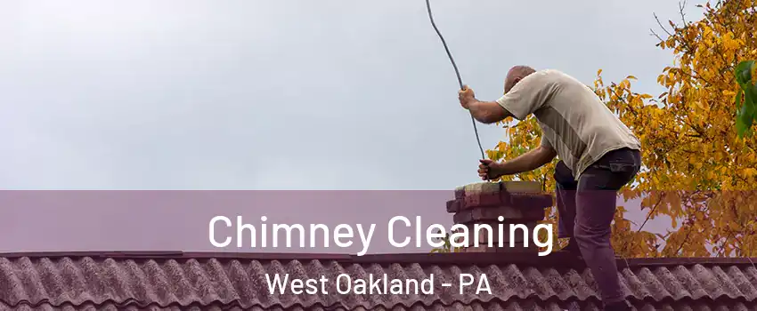 Chimney Cleaning West Oakland - PA