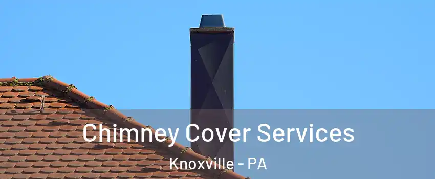 Chimney Cover Services Knoxville - PA