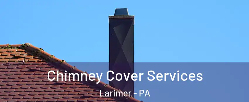 Chimney Cover Services Larimer - PA