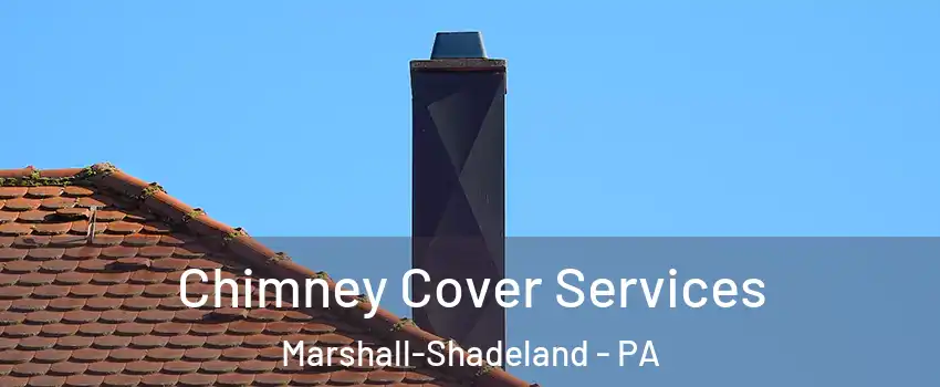 Chimney Cover Services Marshall-Shadeland - PA