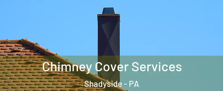 Chimney Cover Services Shadyside - PA