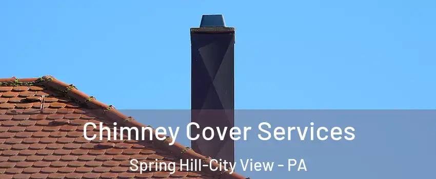 Chimney Cover Services Spring Hill-City View - PA