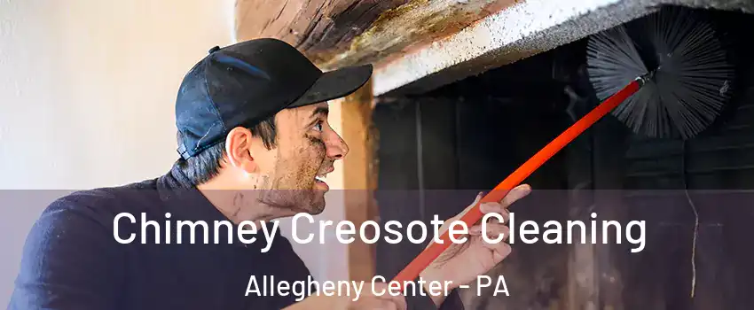 Chimney Creosote Cleaning Allegheny Center - PA