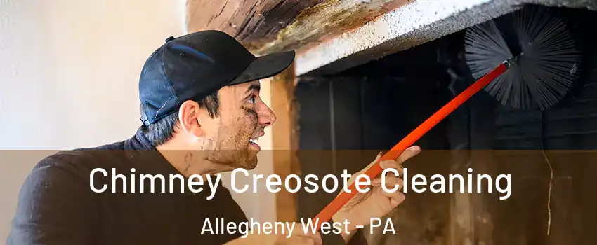 Chimney Creosote Cleaning Allegheny West - PA