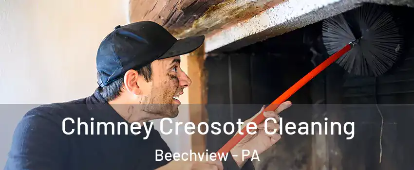 Chimney Creosote Cleaning Beechview - PA