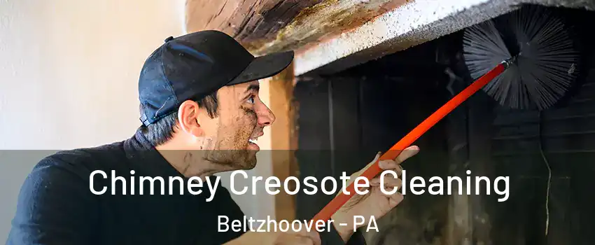 Chimney Creosote Cleaning Beltzhoover - PA