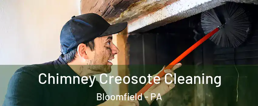 Chimney Creosote Cleaning Bloomfield - PA