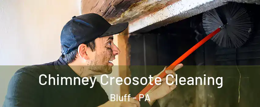Chimney Creosote Cleaning Bluff - PA