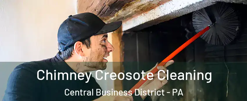 Chimney Creosote Cleaning Central Business District - PA