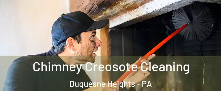 Chimney Creosote Cleaning Duquesne Heights - PA