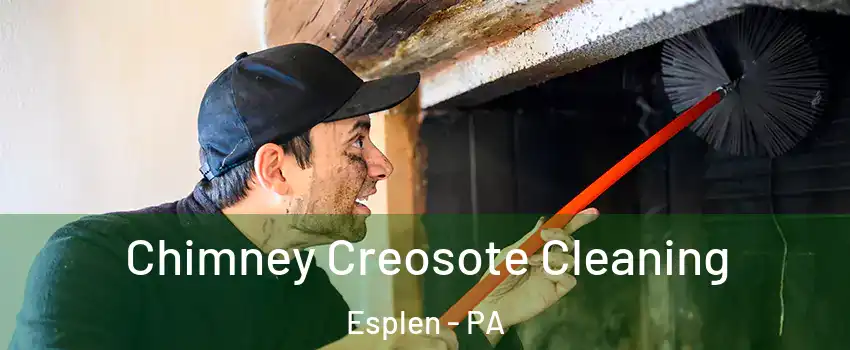 Chimney Creosote Cleaning Esplen - PA