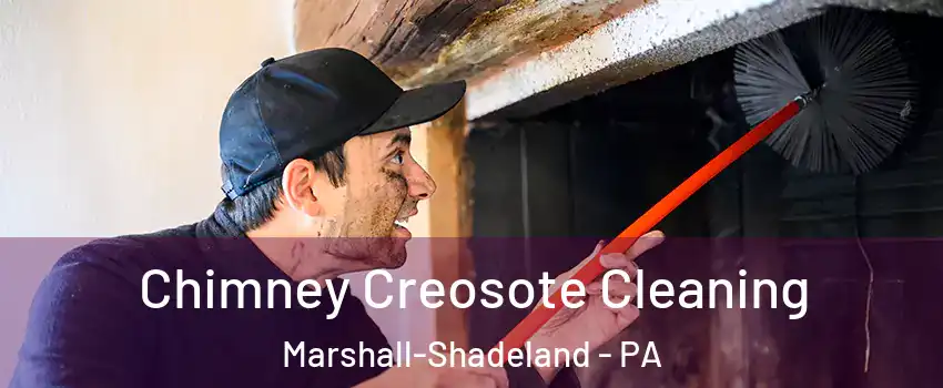 Chimney Creosote Cleaning Marshall-Shadeland - PA