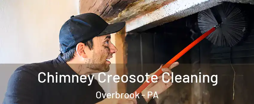 Chimney Creosote Cleaning Overbrook - PA