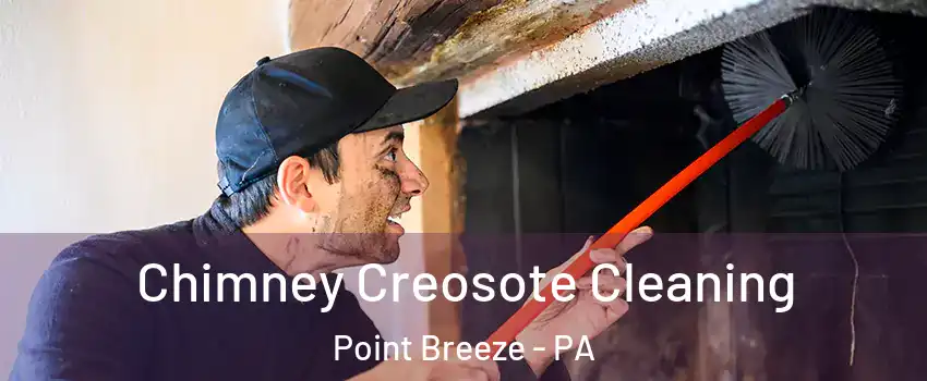 Chimney Creosote Cleaning Point Breeze - PA