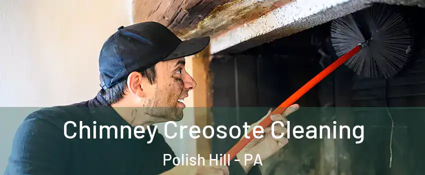 Chimney Creosote Cleaning Polish Hill - PA