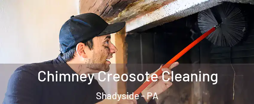 Chimney Creosote Cleaning Shadyside - PA