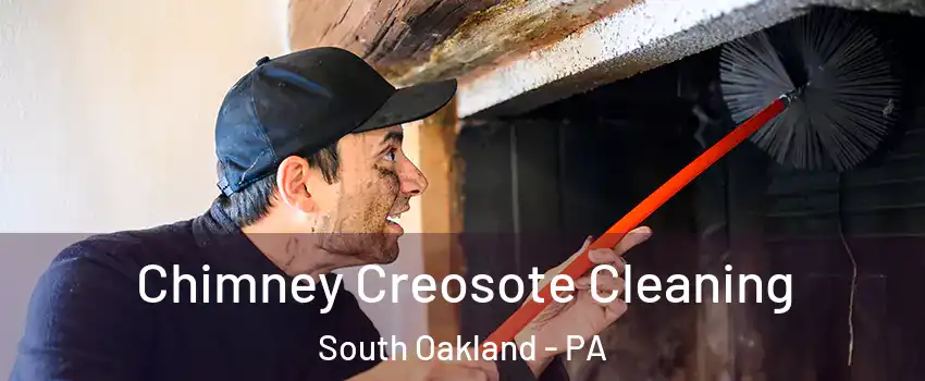 Chimney Creosote Cleaning South Oakland - PA