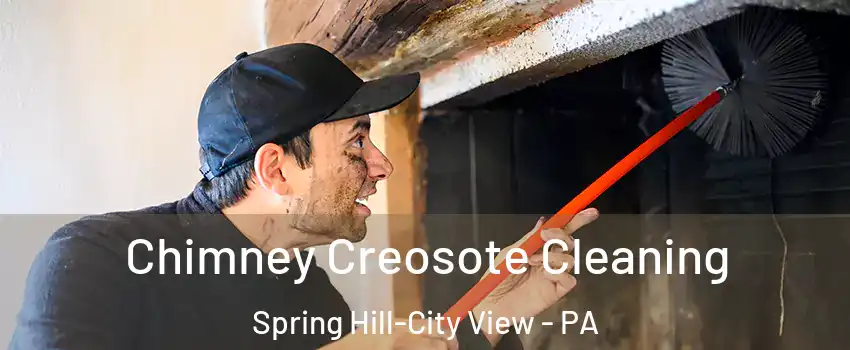 Chimney Creosote Cleaning Spring Hill-City View - PA