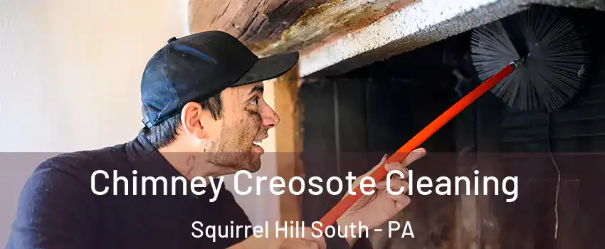 Chimney Creosote Cleaning Squirrel Hill South - PA