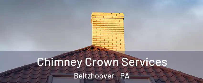 Chimney Crown Services Beltzhoover - PA