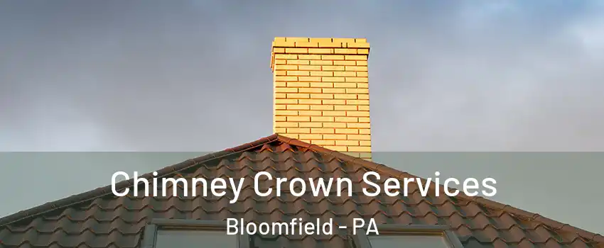 Chimney Crown Services Bloomfield - PA