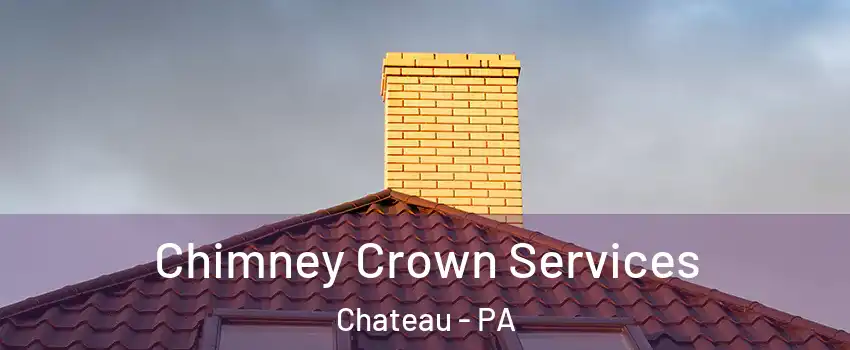 Chimney Crown Services Chateau - PA