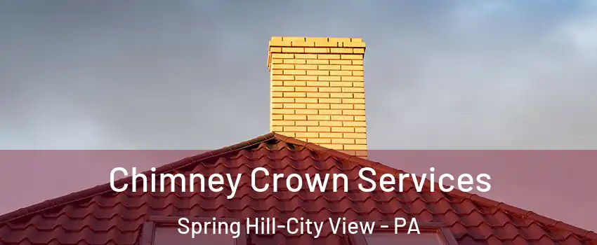 Chimney Crown Services Spring Hill-City View - PA