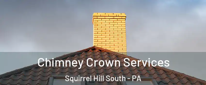Chimney Crown Services Squirrel Hill South - PA