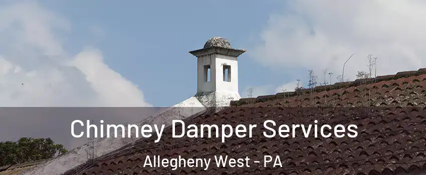 Chimney Damper Services Allegheny West - PA