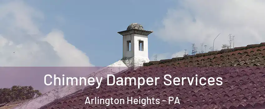 Chimney Damper Services Arlington Heights - PA