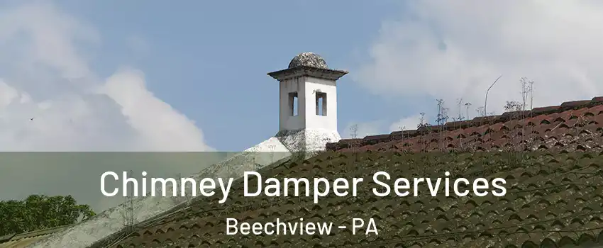 Chimney Damper Services Beechview - PA