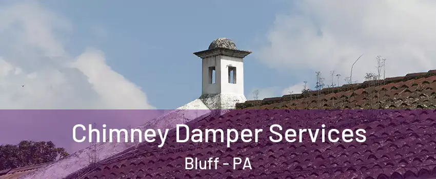 Chimney Damper Services Bluff - PA