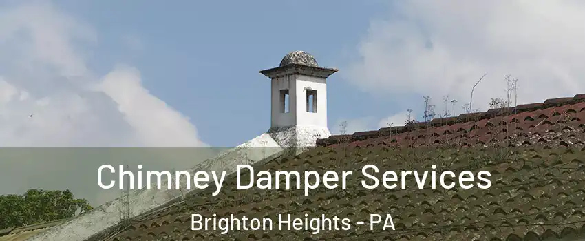 Chimney Damper Services Brighton Heights - PA