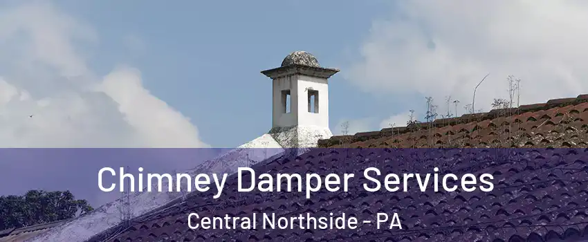 Chimney Damper Services Central Northside - PA