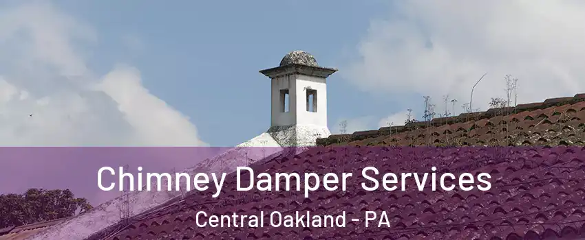 Chimney Damper Services Central Oakland - PA