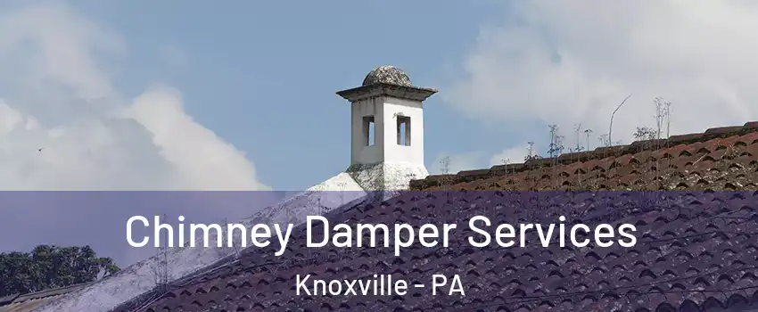 Chimney Damper Services Knoxville - PA