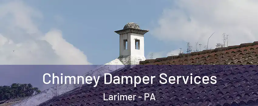 Chimney Damper Services Larimer - PA
