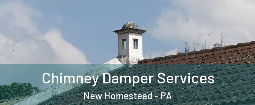 Chimney Damper Services New Homestead - PA